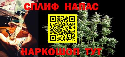 СК Краснодар