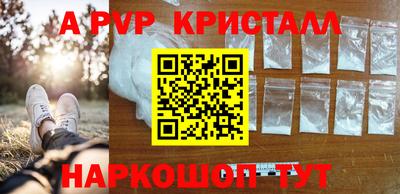 СК Краснодар