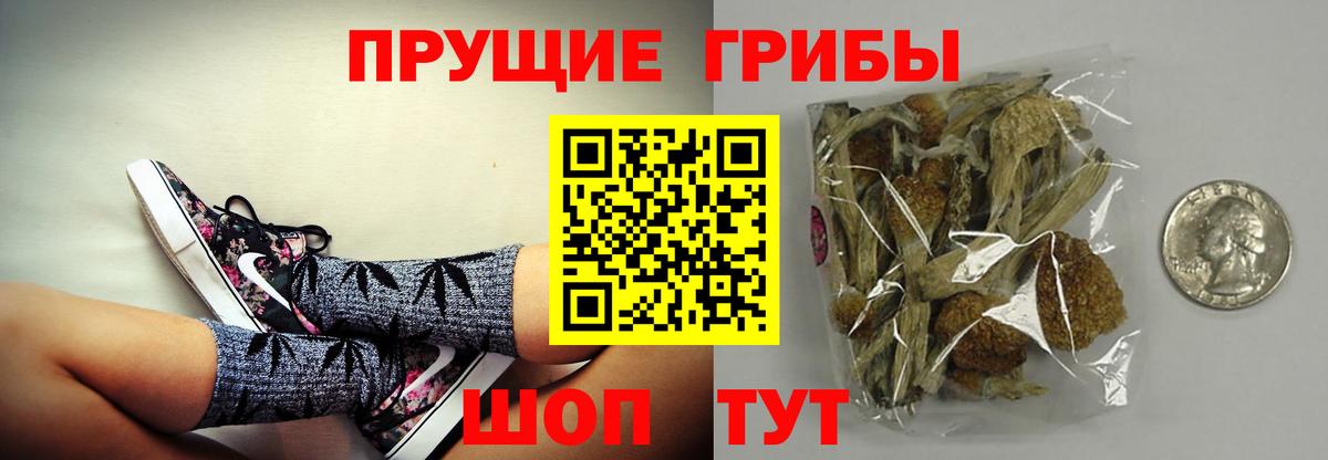 Галлюциногенные грибы Psilocybine cubensis  Вход с VPN  Калач-на-Дону 